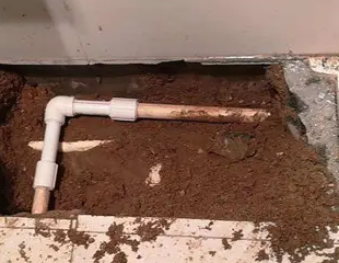 安溪测漏水哪家好