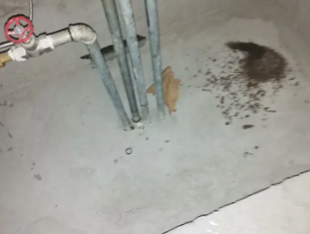 安溪卫生间测漏水价格明细