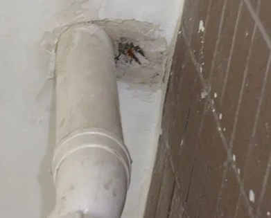 安溪漏水检测哪家好